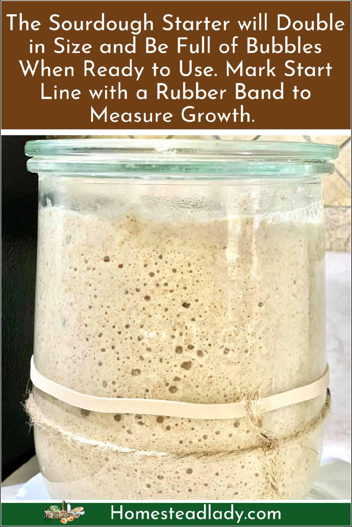 naturally fermented sourdough starter doubled in size and bubbly