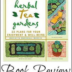How to plan a medicinal herb garden - Homestead Lady