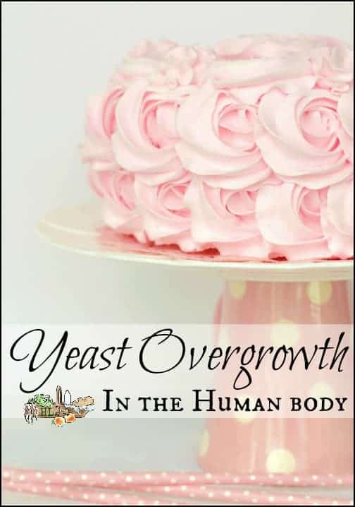 Yeast Overgrowth in the Human Body l Candida Albicans explained l Heal through food from chronic illness l Homestead Lady.com