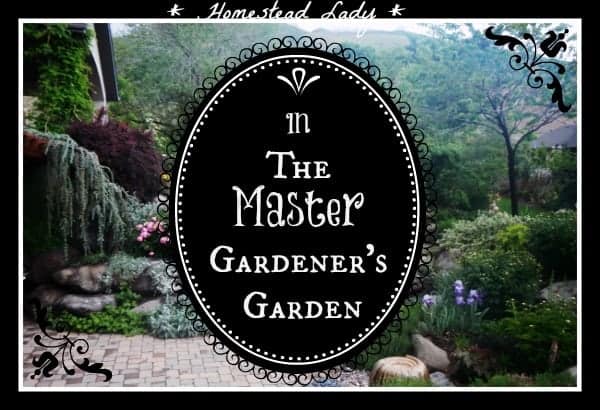 In the Master Gardener's Garden - A Garden Tour for garden inspiration - www.homesteadlady.com