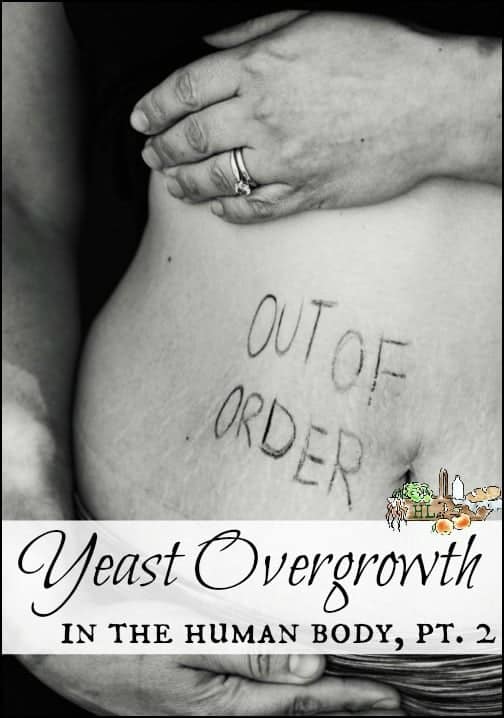 Yeast Overgrowth in the Human Body l Heal your gut with whole foods l Control your Yeast l Homestead Lady.com
