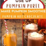 Pumpkin Smoothie & Herbal Pumpkin Spice Hot Chocolate