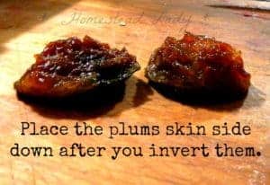 Invert the plum for dehydrating into prunes