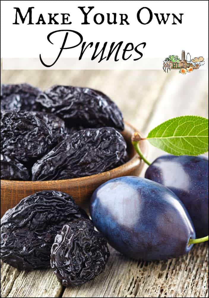 How to make your own prunes from fresh plums by Homestead Lady