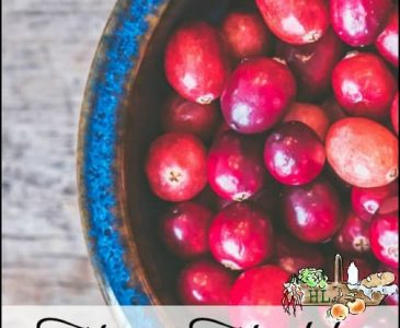 Heart Healthy Cranberry Recipes l Plus whole grain cranberry pancakes l Homestead Lady.com