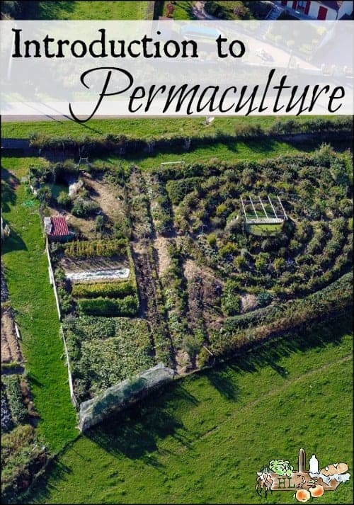 aerial view of permaculture-designed farm
