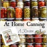 Review DVD At Home Canning For Beginners and Beyond