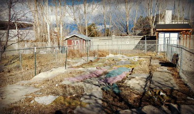 Spring Thaw on the Homestead - using old carpet as weed mat - www.homesteadlady.com