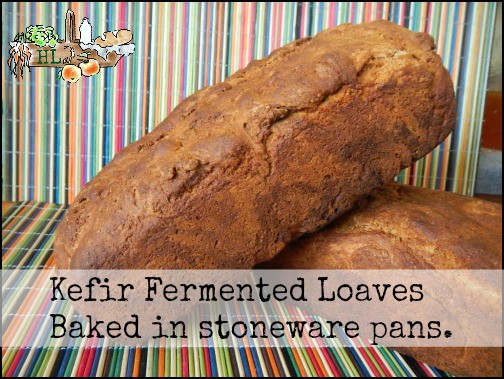 Kefir Fermented Loaves Baked in Stoneware Pans for Best Results l Homestead Lady.com