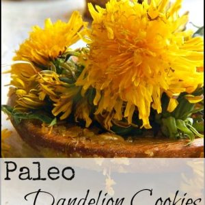 Paleo Dandelion Cookies l Tasty Healthy Foraged Treat l Homestead Lady (.com)