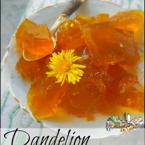 Dandelion jelly