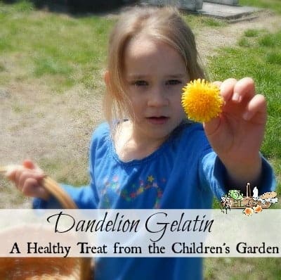 girl with a dandelion flower