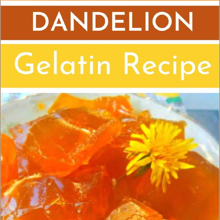 dandelion gelatin on a plate