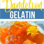 Dandelion Gelatin