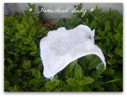 Little-House-and-Line-Drying-if-you-have-herb-beds-in-the-sun-use-them-to-infuse-essential-oils-into-your-laundry-as-they-dry.-www.homesteadlady.com