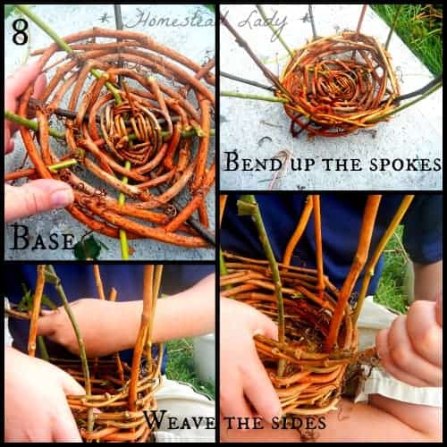 bending up the spokes in basket weaving, different steps