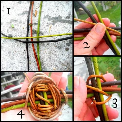 Basket willow at different stages of being woven together