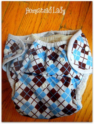 Cloth Diapers 101 Troubleshooting l Pockets or Prefolds l Homestead Lady (.com)