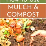 How to Use Mulch and Compost