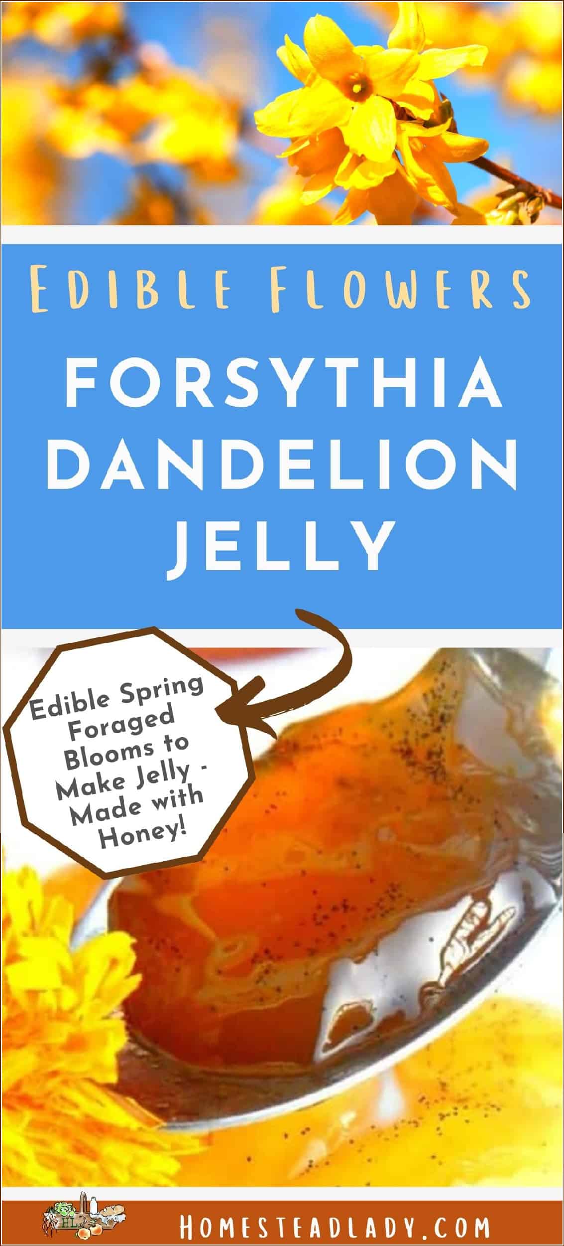 forsythia dandelion jelly on a spoon