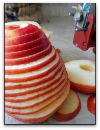 Use Your Solar Oven as a Food Dehydrator to Make Apple Chips l Use an apple slicer to keep chips thin l Homestead Lady (.com)