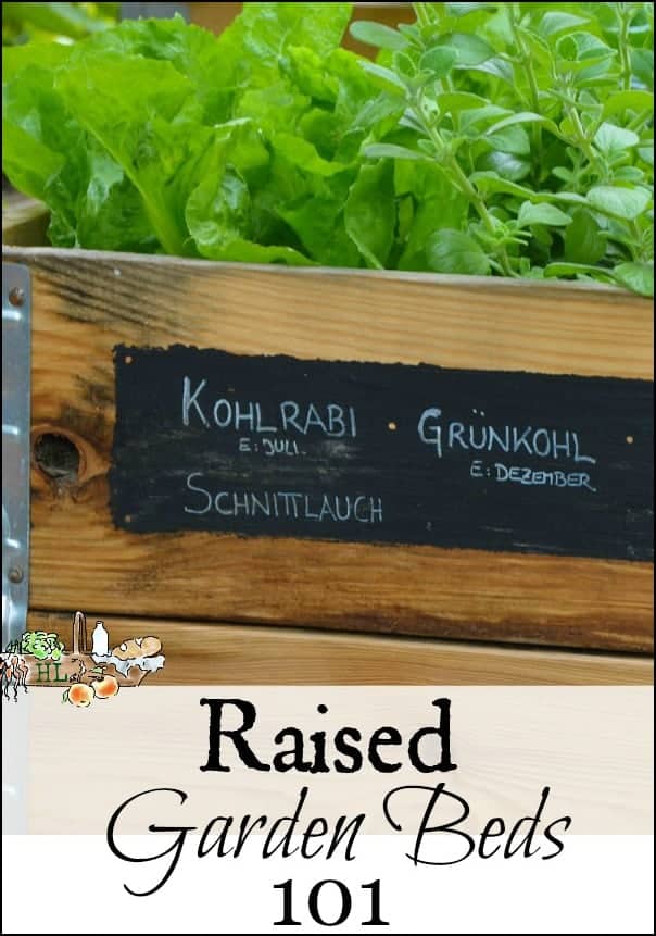 Raised Garden Beds 101 l Get started growing your own food with raised garden beds l Homestead Lady.com