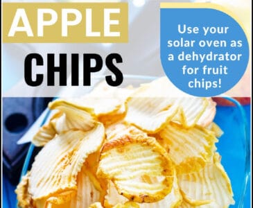 dehydrated apple chips