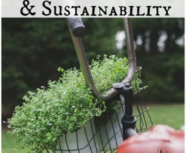 Homesteading and Sustainability l Apply these simple steps this month and increase your self-sufficiency l Homestead Lady.com