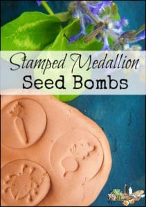Stamped Medallion Seed Bombs l An easy DIY for clay seed balls l Fun for the kids! l Homestead Lady (.com)