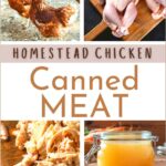 Canned Meat: Preserving Homestead Homegrown Chicken