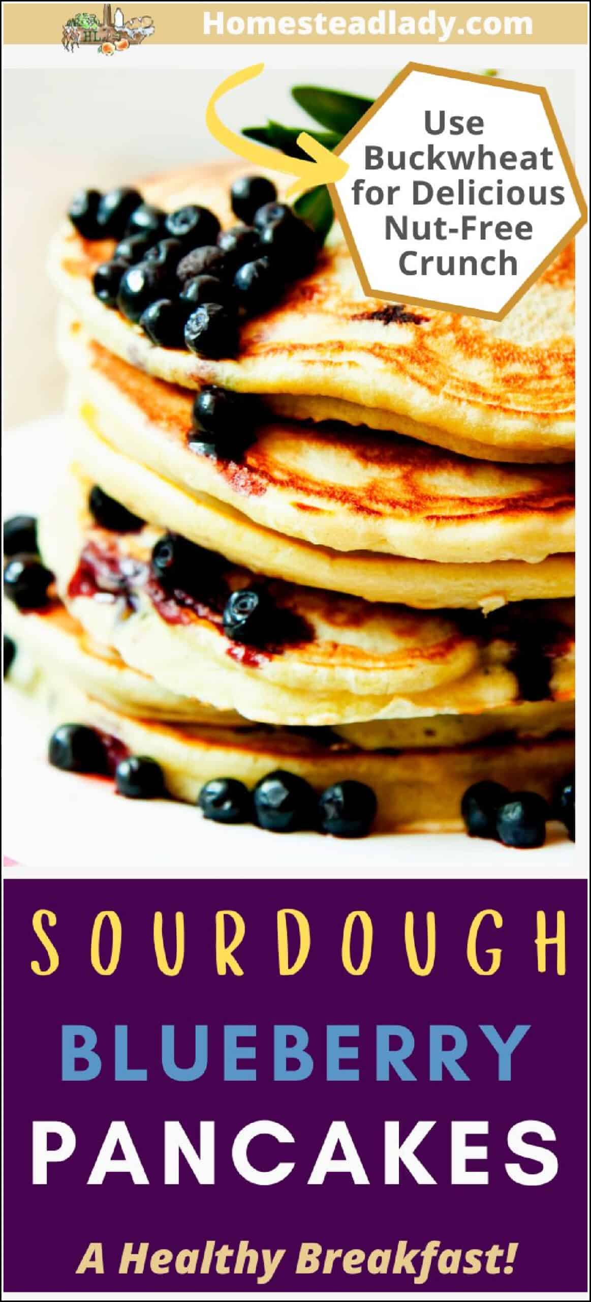 sourdough blueberry pancakes