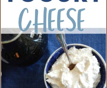 yogurt cheese in a blue bowl