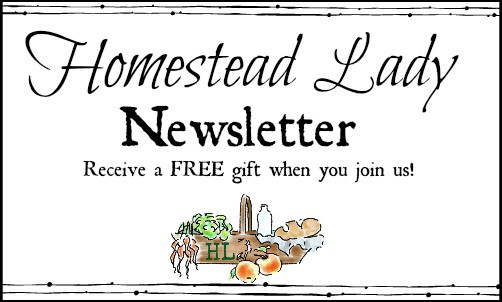 Homestead Lady Newsletter redirect from Paypal l Homestead Lady.com