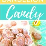 Homemade Dandelion Candy Recipe