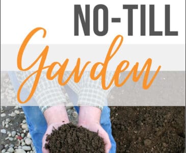 decorative, someone holding dirt