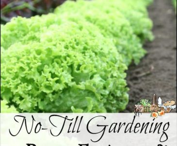 No-Till Gardening with Power Equipment l Save time and your back with these carefully selected no-till garden tools l Homestead Lady.com