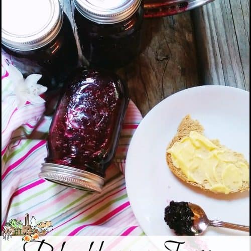 Make Powdered Natural Pectin Substitute for Jam & Jelly • Homestead Lady