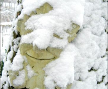 greenman plaque on tree covered in snow