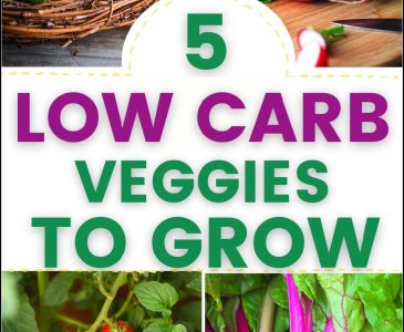 low carb veggies spinach, swiss chard, tomatoes, radish
