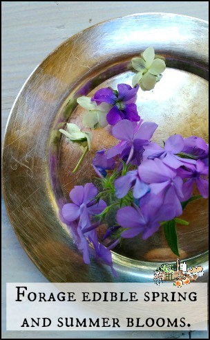 Spring Wildflower and Violet Popcorn l Forage edible blooms to liven up your popcorn l Homestead Lady.com