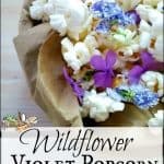 Wildflower Violet Popcorn