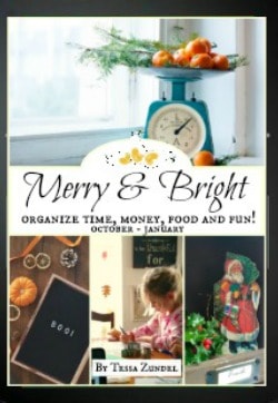 book cover of Merry And Bright