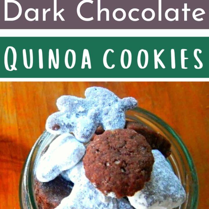 quinoa dark chocolate cookies in a jar on a table with powdered sugar