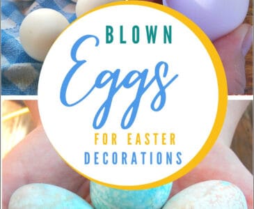 blown (hollowed out) eggshells and decorated eggs