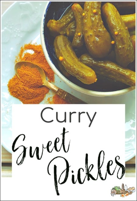 pickles in a bowl powdered curry on a dish