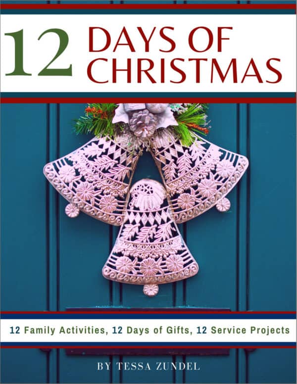 12 Days of Christmas Book Cover with silver bells on a blue door