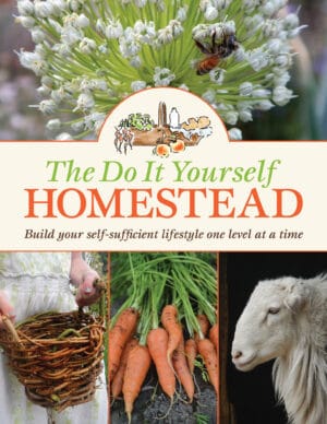 The Do It Yourself Homestead Book Cover