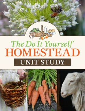 The Do It Yourself Homestead Unit Study Cover