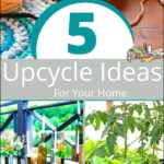 5 Upcycled Ideas for Your Home