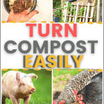 How to Turn Compost Easily – Don’t Do It!